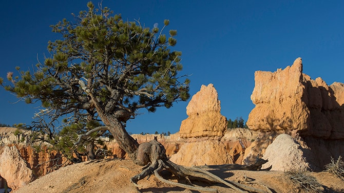 Image of a desert.