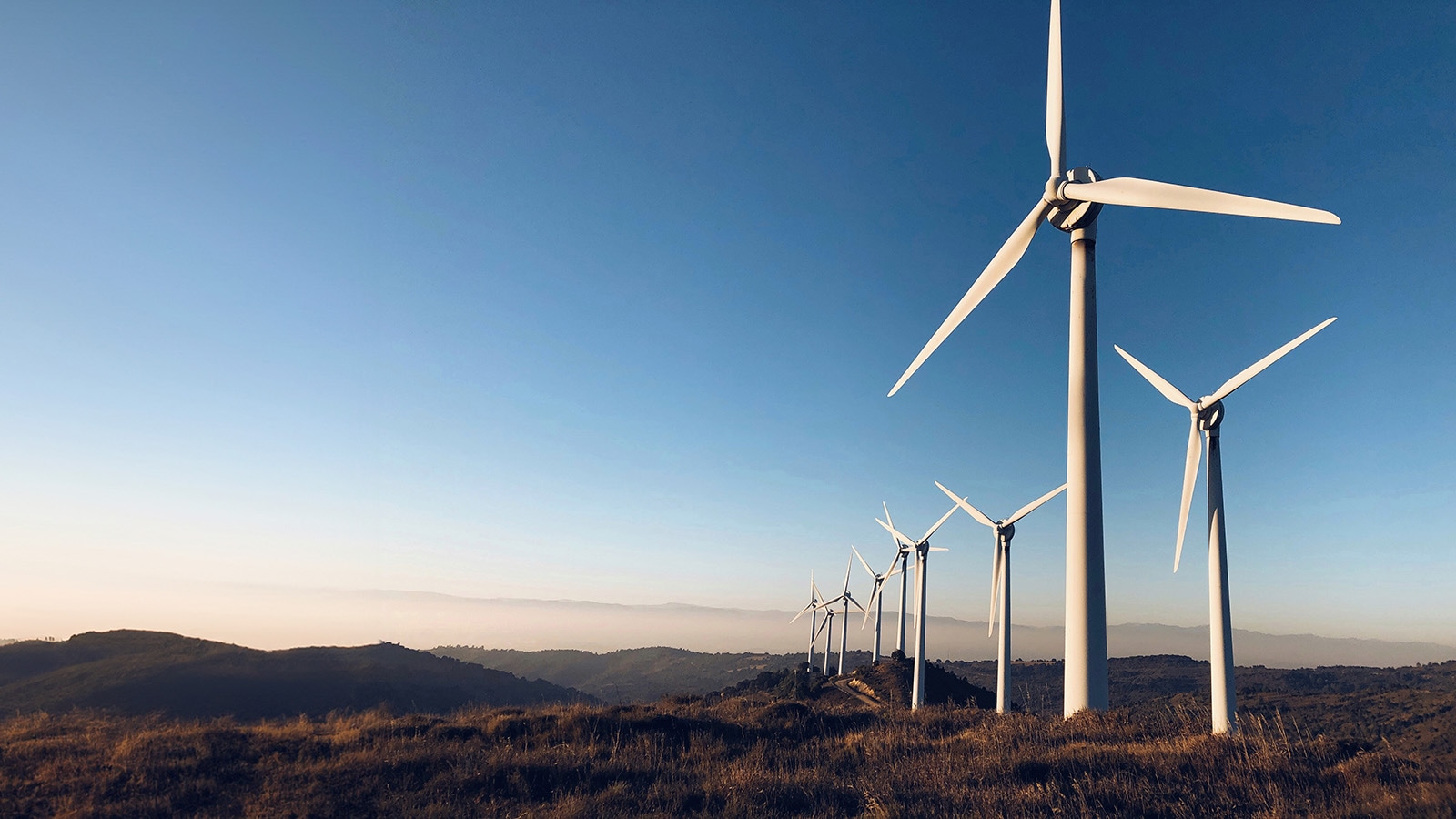 Energiewende Marktcheck