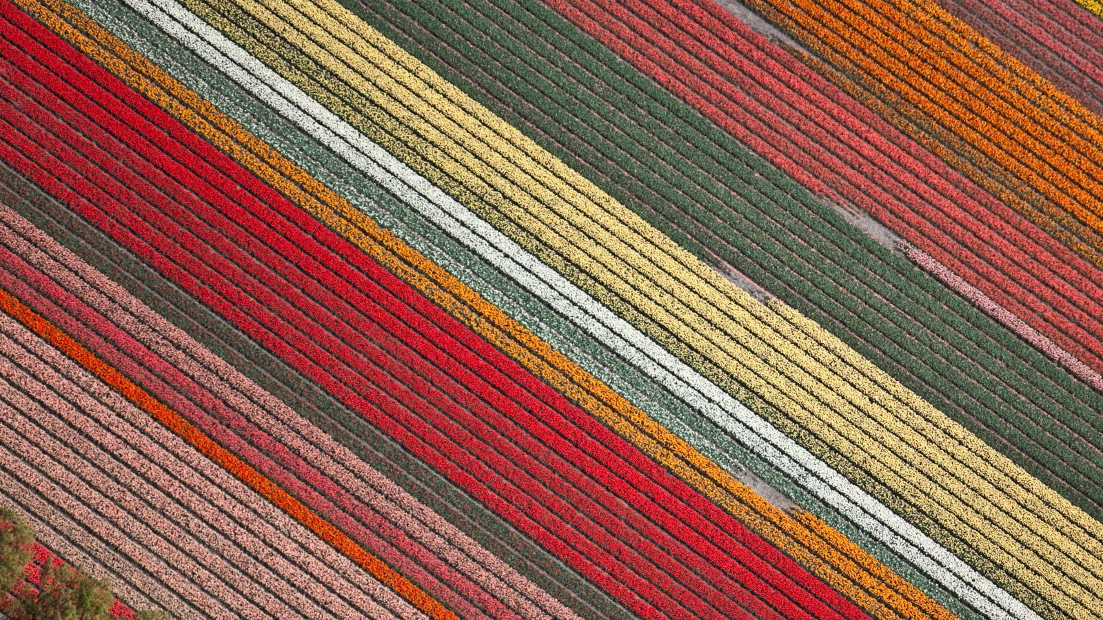 Mindestbesteuerungsgesetz im Bundesgesetzblatt veröffentlicht