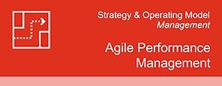 Agile Performance Management