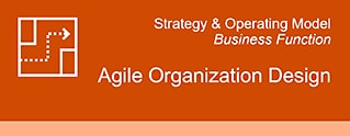 Agile Organization Design