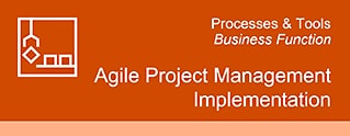 Agile Project Management and Implementation