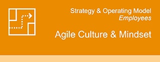 Agile Culture und Mindset