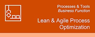 Lean & Agile Process Optimization