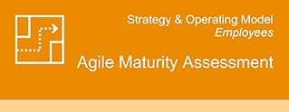 Agile Maturity Assessment
