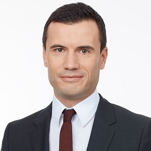 Profile picture of Werner Stockreiter