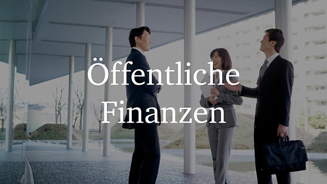 öffentliche Finanzen Verlinkung