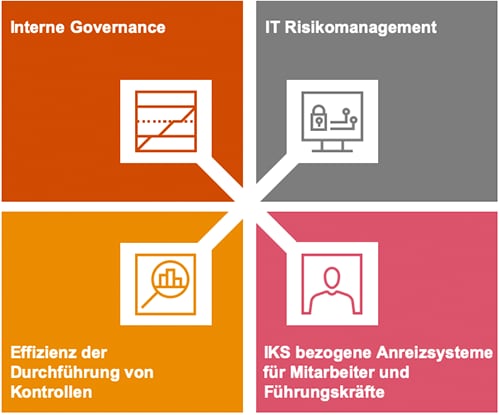 Kontrollsystem Ausgabe 112 - Internes Kontrollsystem