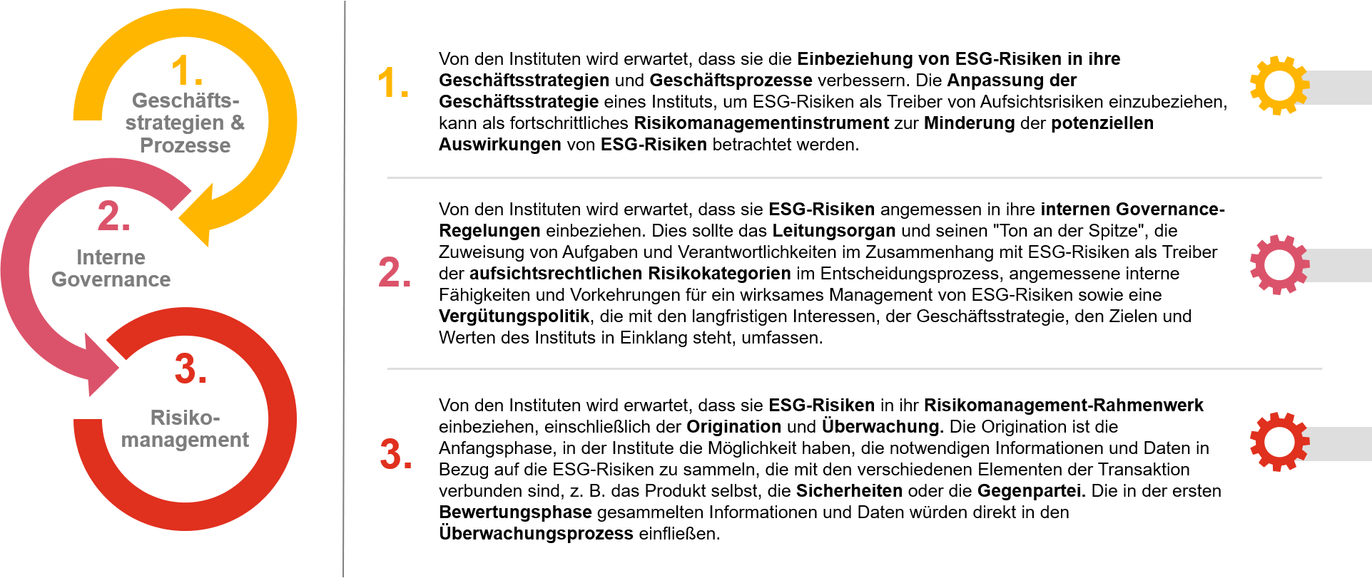 ESG-Risikomanagement durch Institute